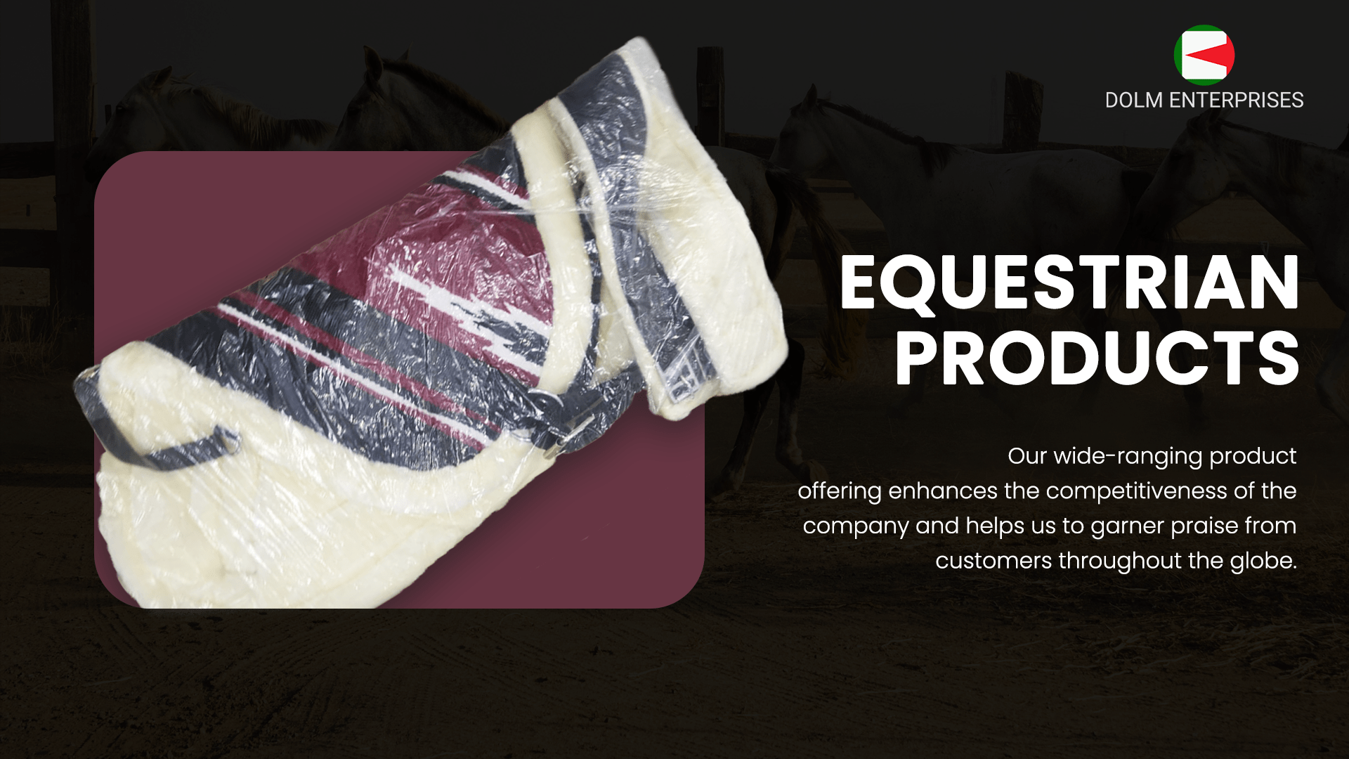 DOLM Equestrian Products | High Quality Products